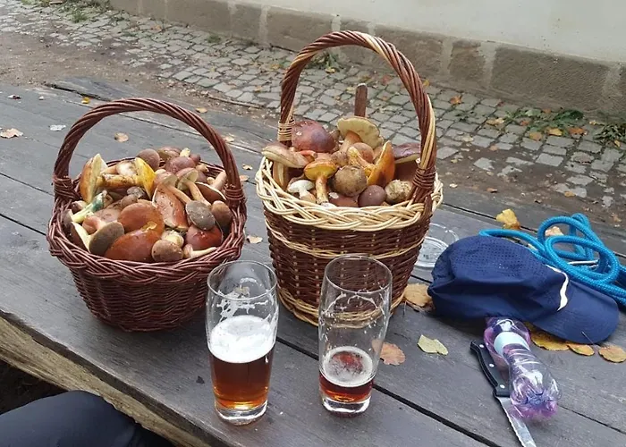 Penzion Eden Turnov